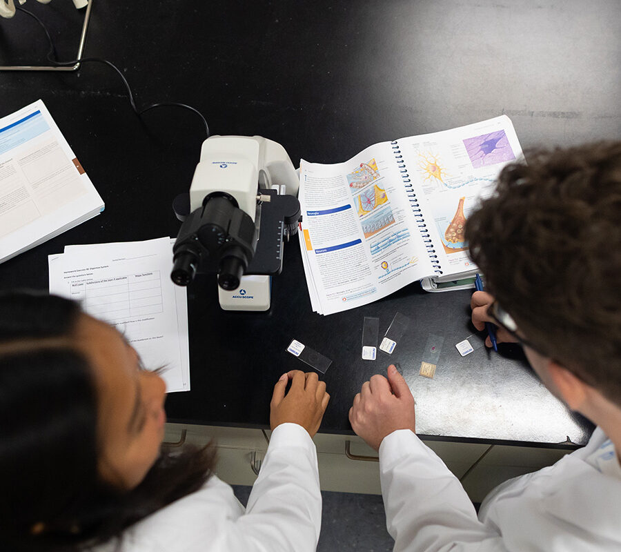 biology students in a laboratory with an open textbook looking into a microscope