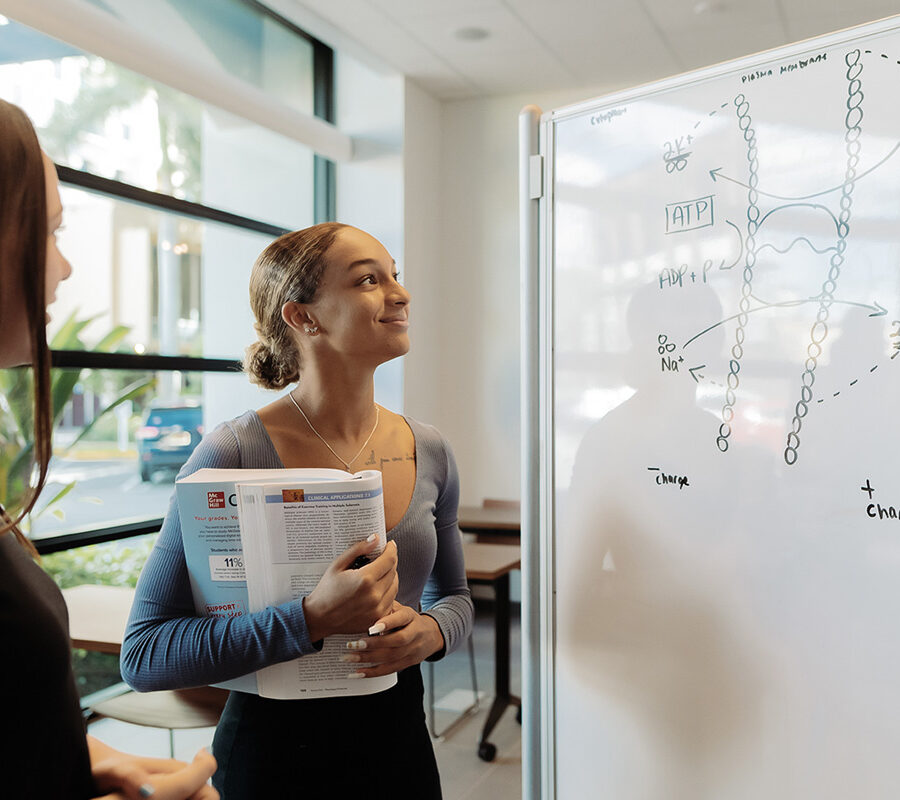 Two students study a diagram on a whiteboard.