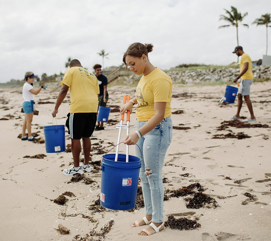students studying Botany Environmental Science and Field Biology by collecting trash on the beach