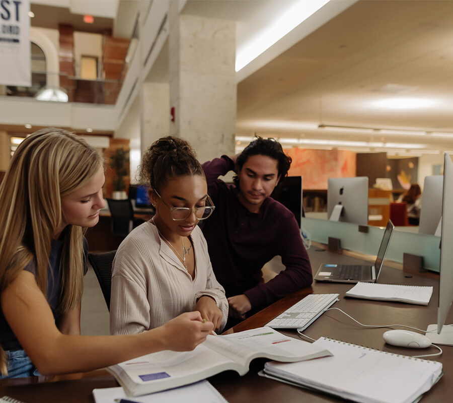 Philosophy and global development students study in the library